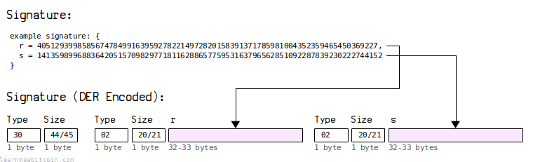 A diagram showing how convert a raw signature to DER encoding.